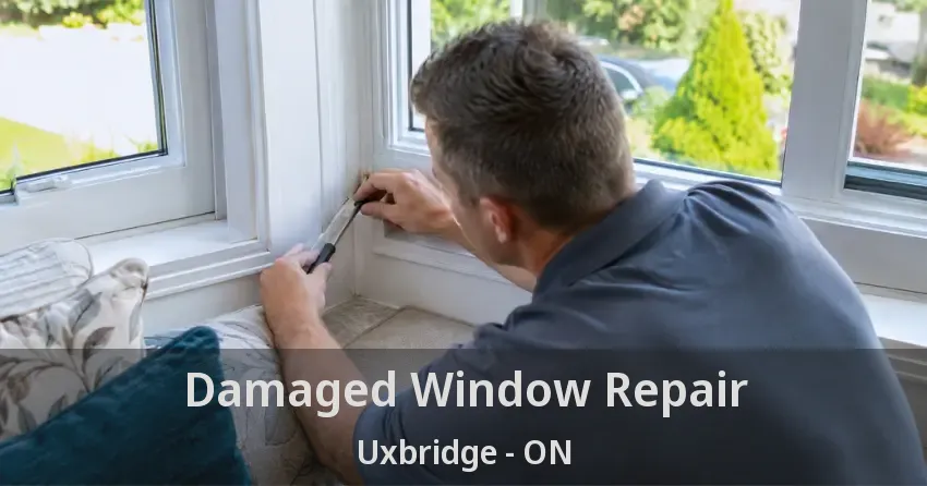 Damaged Window Repair Uxbridge - ON