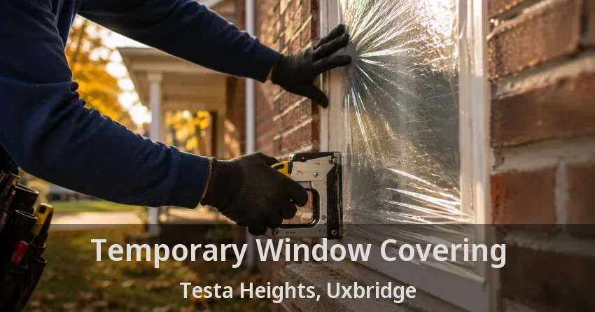 Temporary Window Covering Testa Heights, Uxbridge - ON